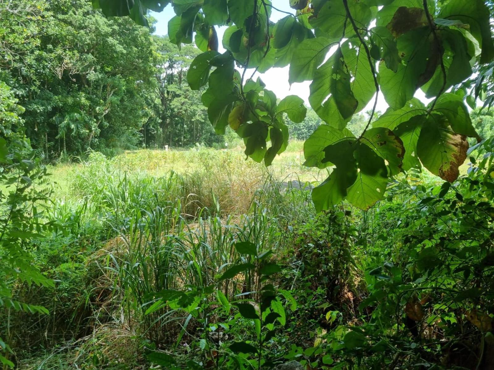 Silver Hill Ecovillage Kurunegala Exterior foto